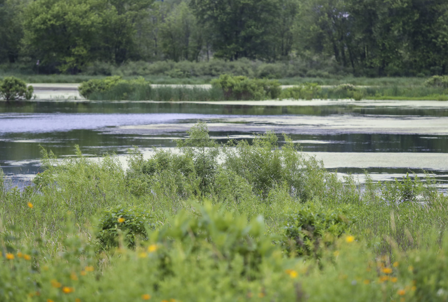 062218-qct-bioblitz-003